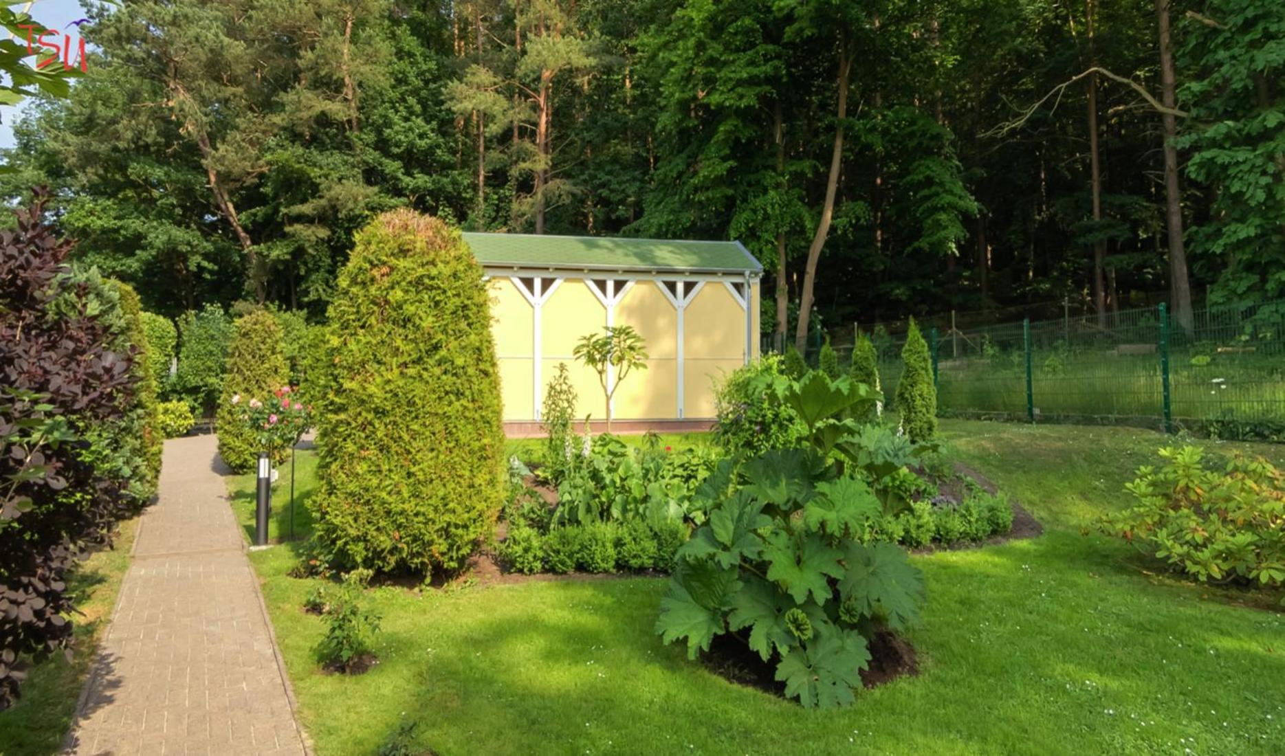 Haus Am Wald Apartment Heringsdorf  Ngoại thất bức ảnh