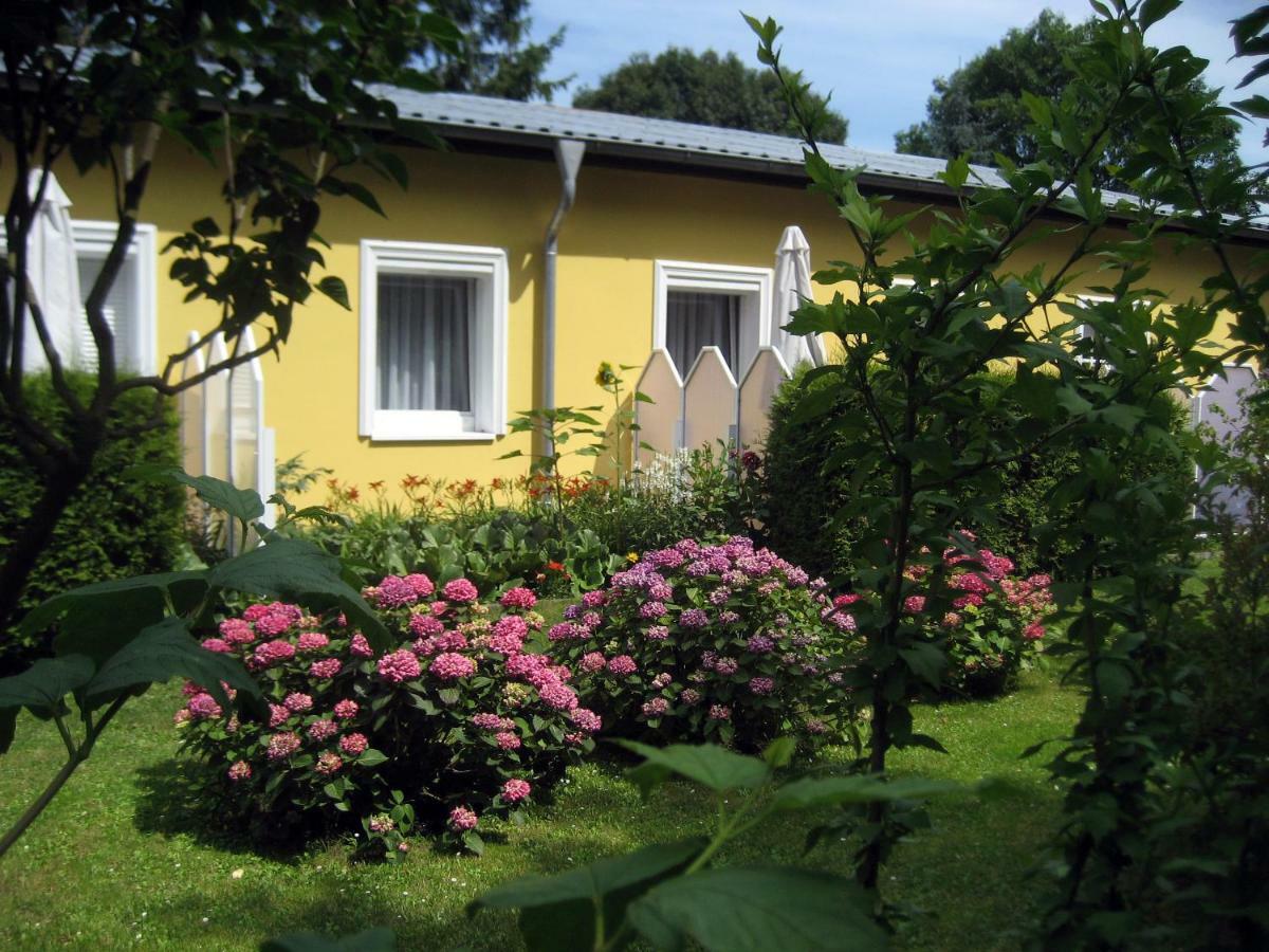 Haus Am Wald Apartment Heringsdorf  Ngoại thất bức ảnh